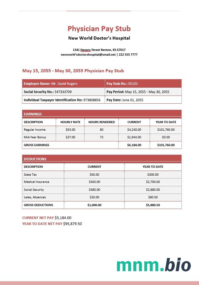 New World Doctor' s Hospital Physician Pay Stub w formatach PDf i Word
